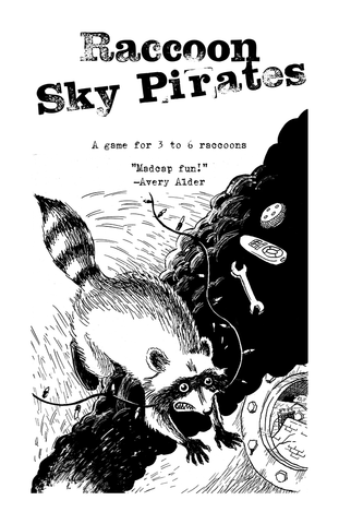 Raccoon Sky Pirates