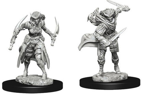 WZK73339: Tiefling Female Rogue: D&D Nolzur's Marvelous Unpainted Miniatures (W7)