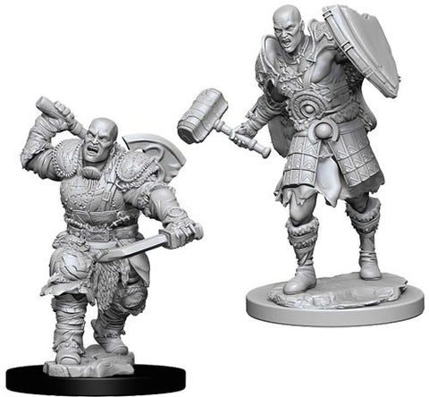 WZK73541: Male Goliath Fighter: D&D Nolzur's Marvelous Unpainted Miniatures (W7)