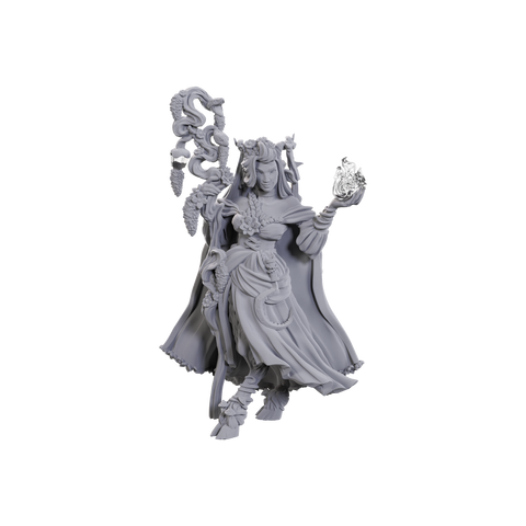 WZK90722: Fearne Calloway & Mister: Critical Role Unpainted Miniatures (W23)