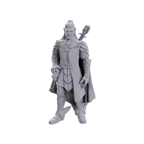 WZK90723: Dorian Storm: Critical Role Unpainted Miniatures (W23)