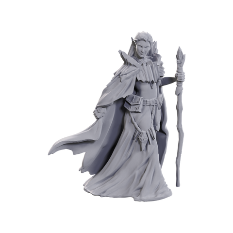 WZK90731: Limited Edition 50th Anniversary - Elves: D&D Nolzur's Marvelous Unpainted Miniatures