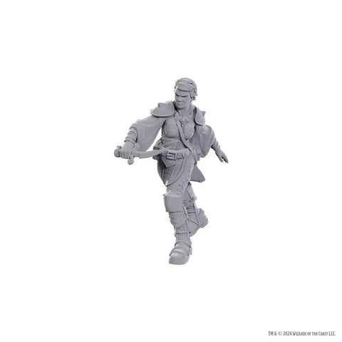 WZK90762 Swashbuckler: D&D Nolzur's Marvelous Unpainted Miniatures (W25) (expected in stock on 30th June)