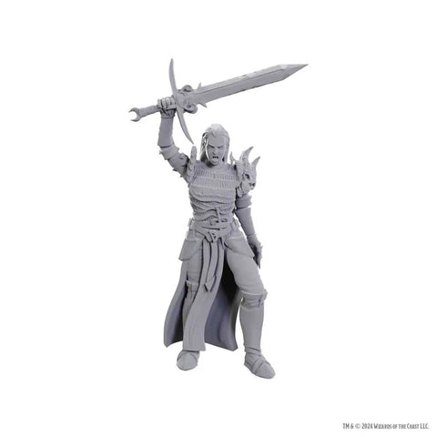 WZK90772 Blackguard: D&D Nolzur's Marvelous Unpainted Miniatures (W25) (expected in stock on 30th June)