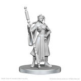 WZK90789 Beauregard Lionett & Caleb Widogast: Critical Role Unpainted Miniatures (W26) (expected in stock on 23rd June)