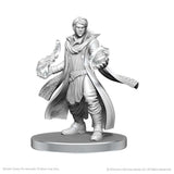 WZK90789 Beauregard Lionett & Caleb Widogast: Critical Role Unpainted Miniatures (W26) (expected in stock on 23rd June)