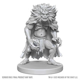 WZK90814 Classic Wight & Classic Wraith: D&D Nolzur's Marvelous Miniatures (Wave 28)