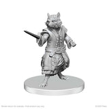 WZK90838 Procyal (Raccoon Agathion) & Zoaem (Ring Archon): Pathfinder Battles Deep Cuts Unpainted Miniatures (expected in stock on 23rd June)