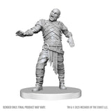 WZK90855 Swarm of Rot Grubs & Rot Grub Victim: D&D Nolzur's Marvelous Miniatures (Wave 28)