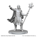 WZK90858 Drow Mage & Yochlol: D&D Nolzur's Marvelous Miniatures (Wave 28)