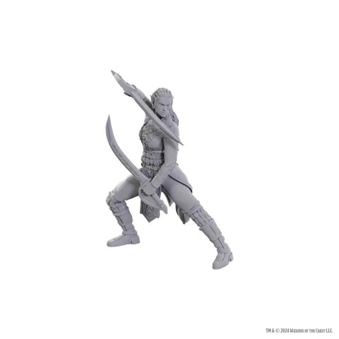 WZK96368 Special Edition Baldur's Gate 3 - Jaheira & Halsin: D&D Nolzur's Marvelous Unpainted Miniatures
