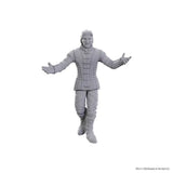 WZK96371 Sarevok Anchev & Raphael - D&D Nolzur's Marvelous Unpainted Miniatures: Special Edition Baldur's Gate 3