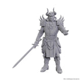 WZK96371 Sarevok Anchev & Raphael - D&D Nolzur's Marvelous Unpainted Miniatures: Special Edition Baldur's Gate 3