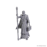 WZK96372 Volo & Withers - D&D Nolzur's Marvelous Unpainted Miniatures: Special Edition Baldur's Gate 3