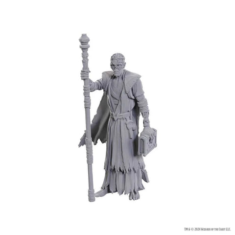 WZK96372 Volo & Withers - D&D Nolzur's Marvelous Unpainted Miniatures: Special Edition Baldur's Gate 3