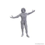 WZK96372 Volo & Withers - D&D Nolzur's Marvelous Unpainted Miniatures: Special Edition Baldur's Gate 3