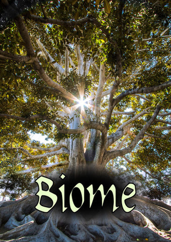 Biome + complimentary PDF