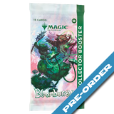Magic the Gathering: Bloomburrow Collector Booster - pre-order (release date 2nd August)