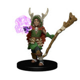 WZK73319 Boy Druid and Tree Creature: WizKids Wardlings Miniatures