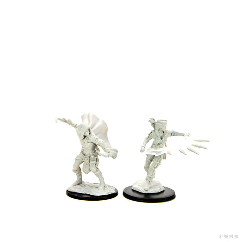 WZK90269: Human Rogue Female: Pathfinder Battles Deepcuts Unpainted Miniatures (W14)