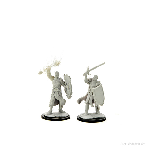 WZK90230: Half-Elf Paladin Male: D&D Nolzur's Marvelous Unpainted Miniatures (W14)