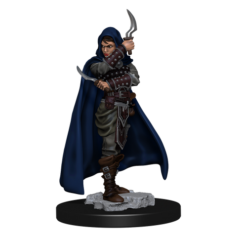 WZK77501: Human Rogue Female: Pathfinder Battles Premium Painted Figure (W1)