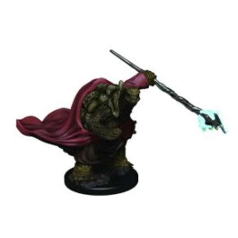 WZK93016 Male Tortle Monk - D&D Icons of the Realms Premium Figures